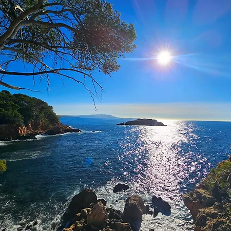 Superbe Dans Cadre D'exception-piscine, Tennis Et Privee * Bandol