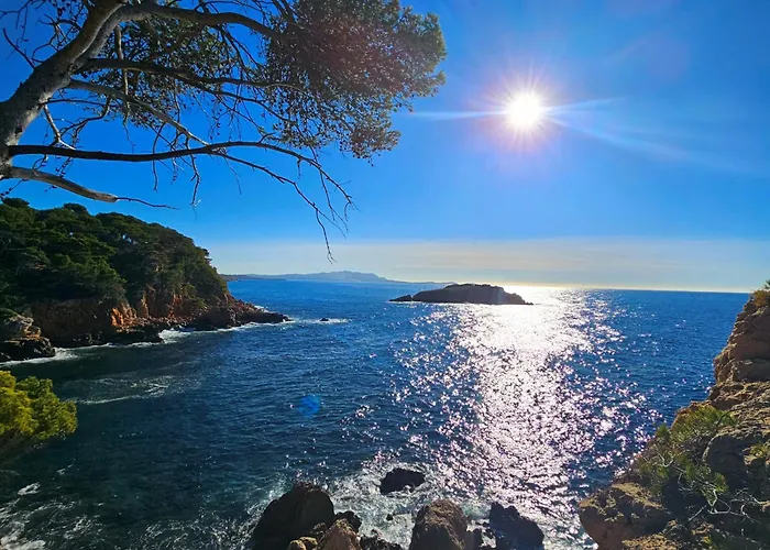 Superbe Dans Cadre D'exception-piscine, Tennis Et Privee * Бандоль